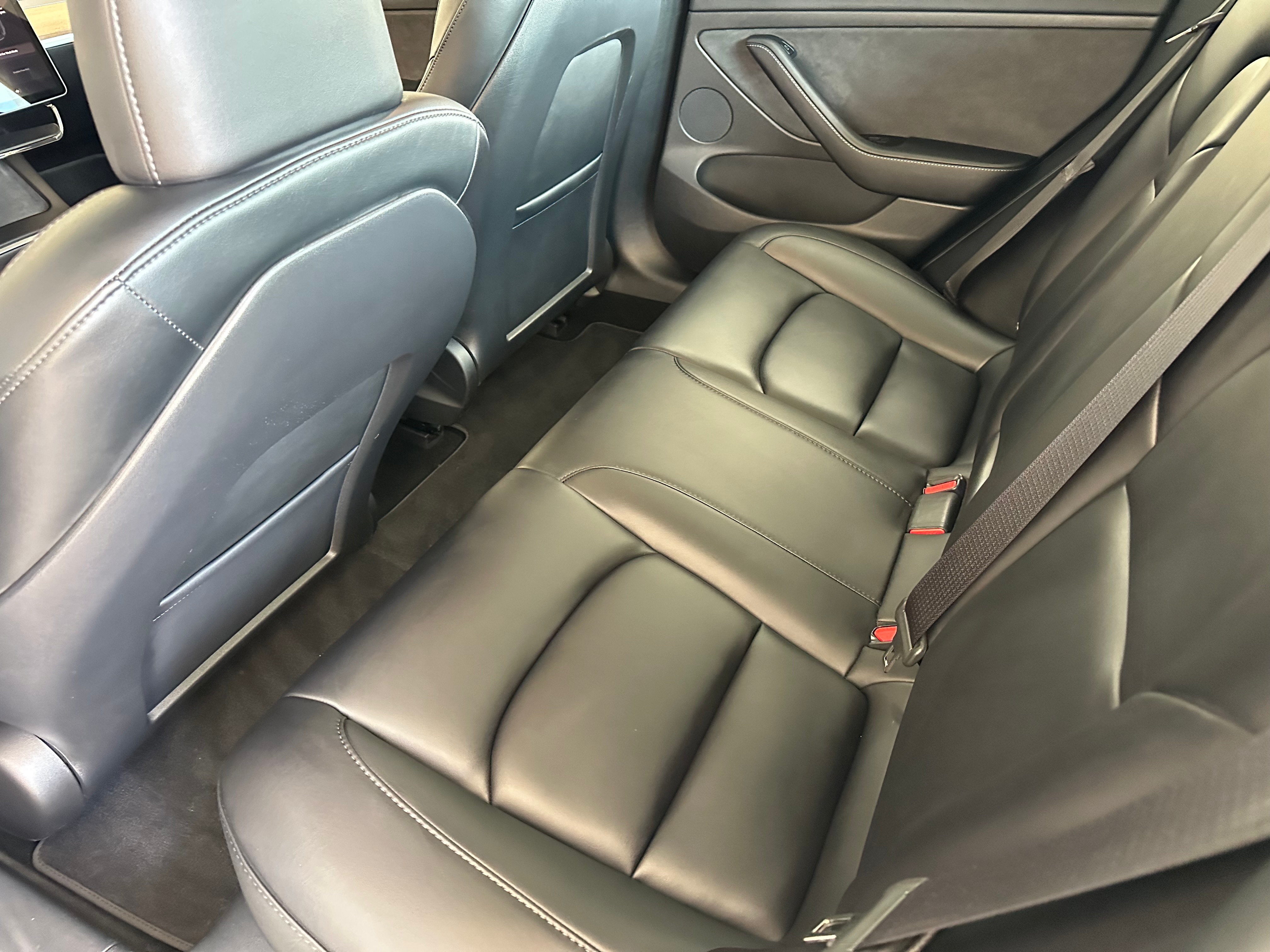 Tesla Model 3 signature detail photo 5